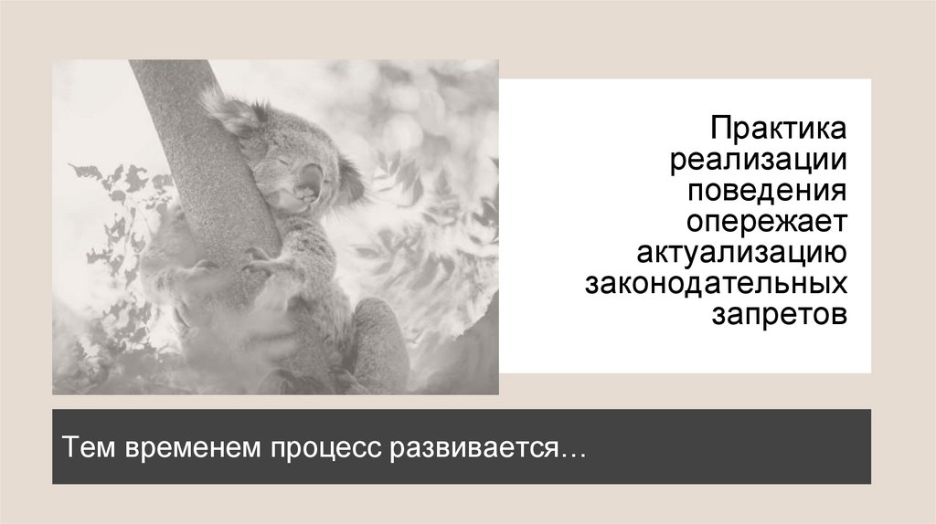 Практика реализации поведения опережает актуализацию законодательных запретов