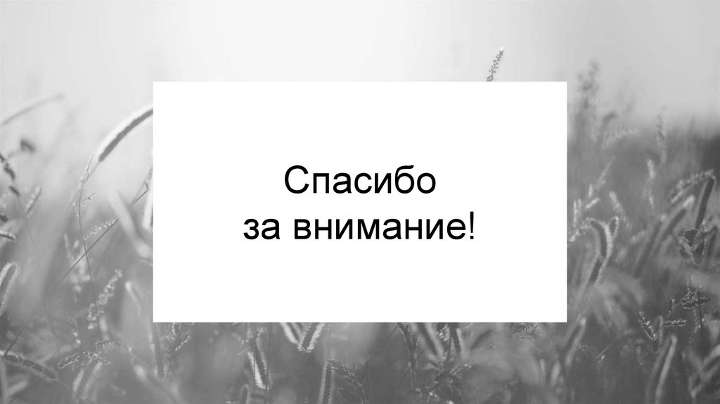 Спасибо за внимание!