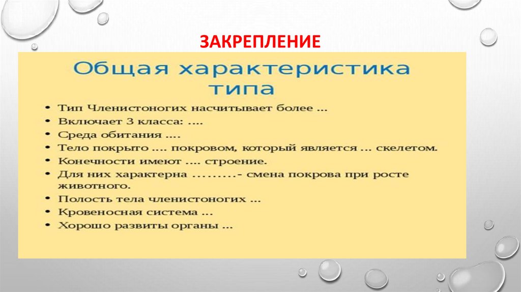 закрепление