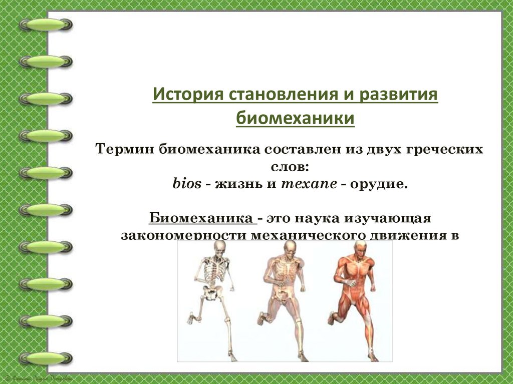 Термин биомеханика составлен из двух греческих слов: bios - жизнь и mexane - орудие. Биомеханика - это наука изучающая