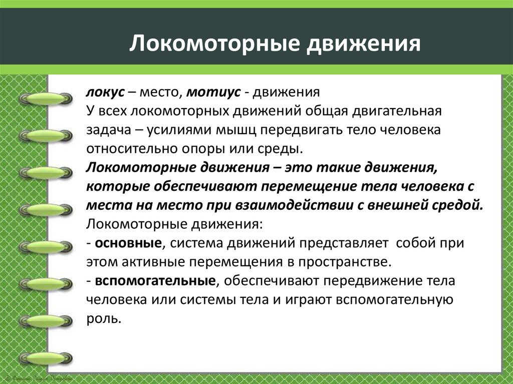 Локомоторные движения локус – место, мотиус - движения У всех локомоторных движений общая двигательная задача – усилиями мышц