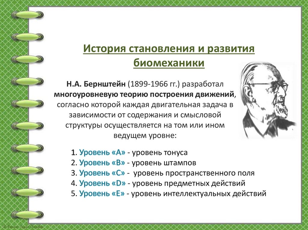 Н.А. Бернштейн (1899-1966 гг.) разработал многоуровневую теорию построения движений, согласно которой каждая двигательная