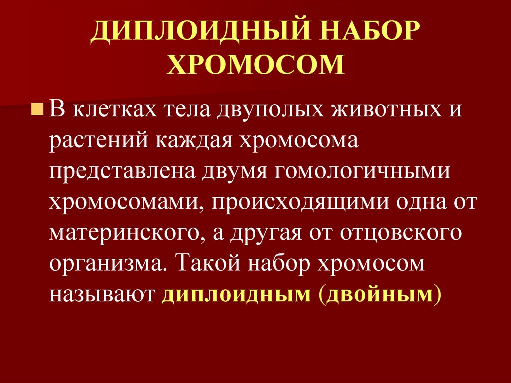 ДИПЛОИДНЫЙ НАБОР ХРОМОСОМ