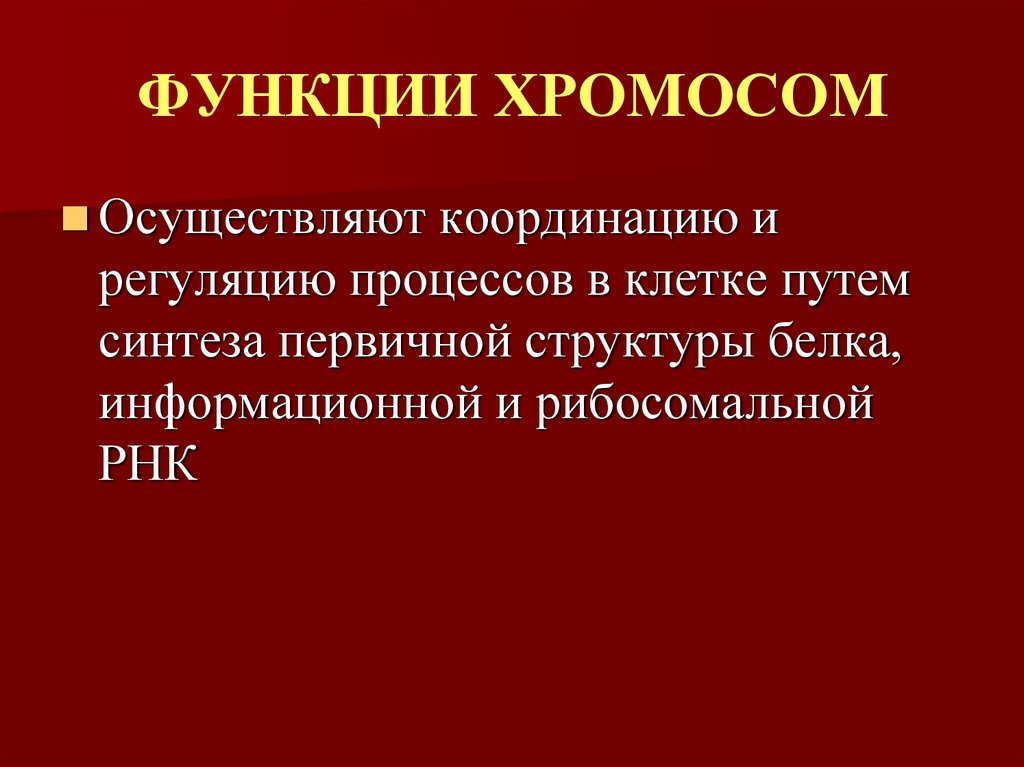 ФУНКЦИИ ХРОМОСОМ