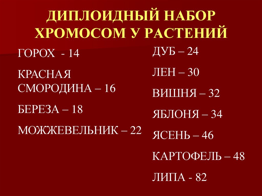 ДИПЛОИДНЫЙ НАБОР ХРОМОСОМ У РАСТЕНИЙ
