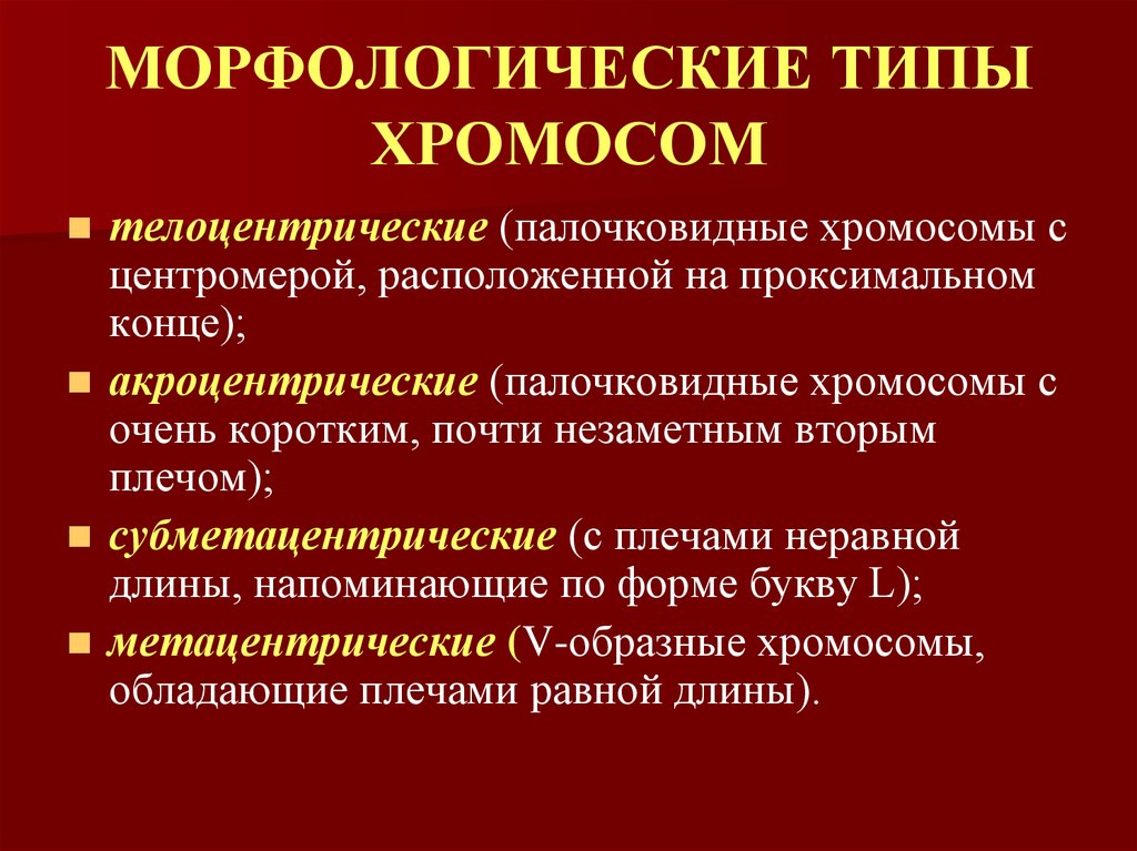 МОРФОЛОГИЧЕСКИЕ ТИПЫ ХРОМОСОМ