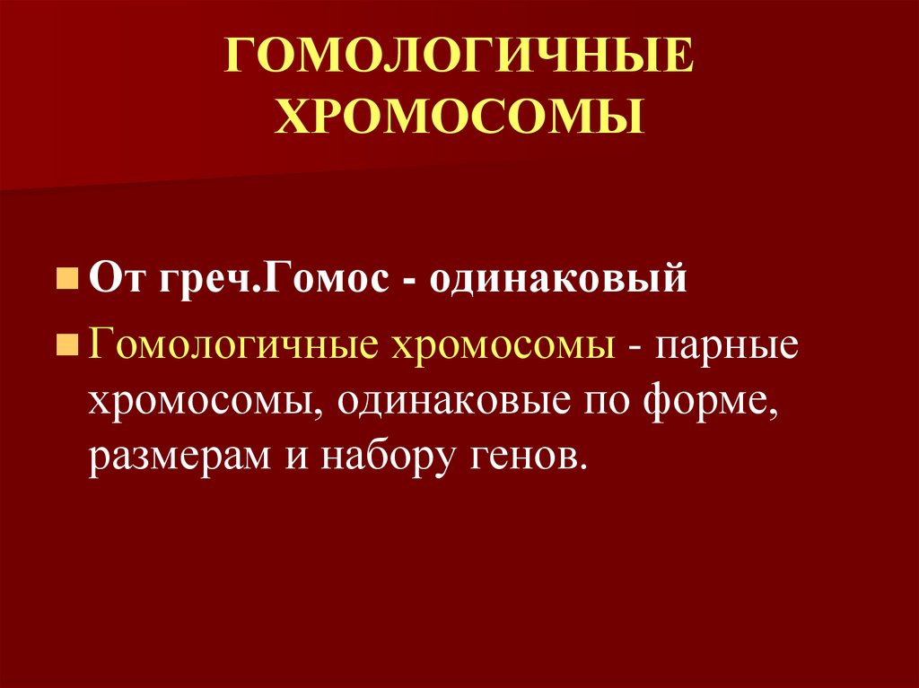 ГОМОЛОГИЧНЫЕ ХРОМОСОМЫ