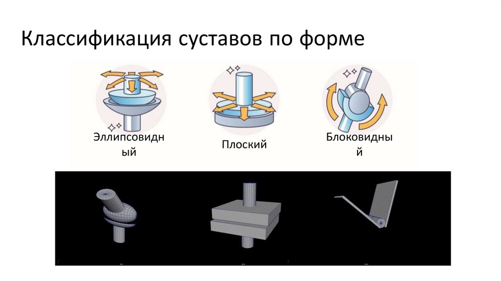 Классификация суставов по форме