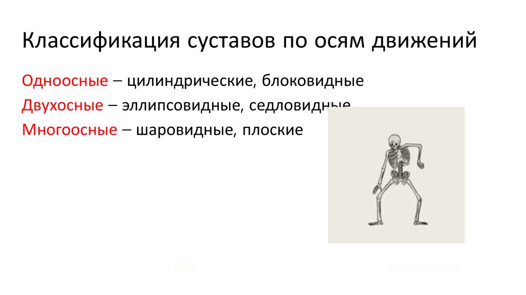 Классификация суставов по осям движений