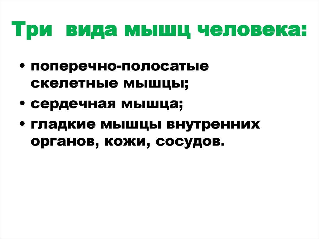 Три вида мышц человека: