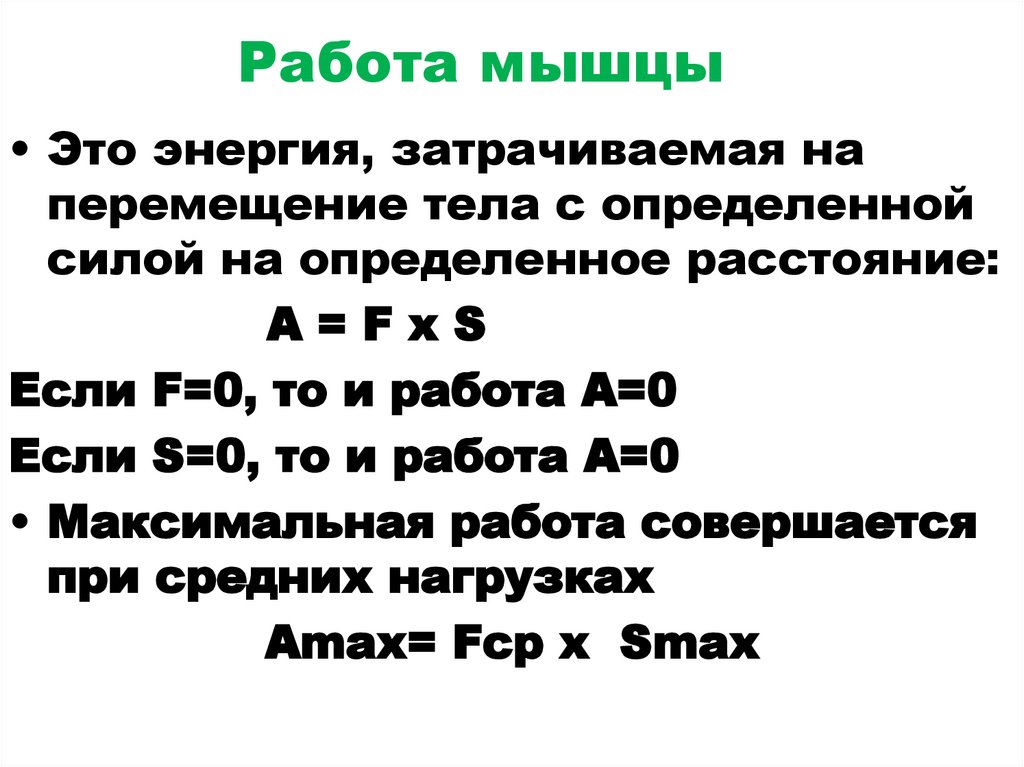 Работа мышцы