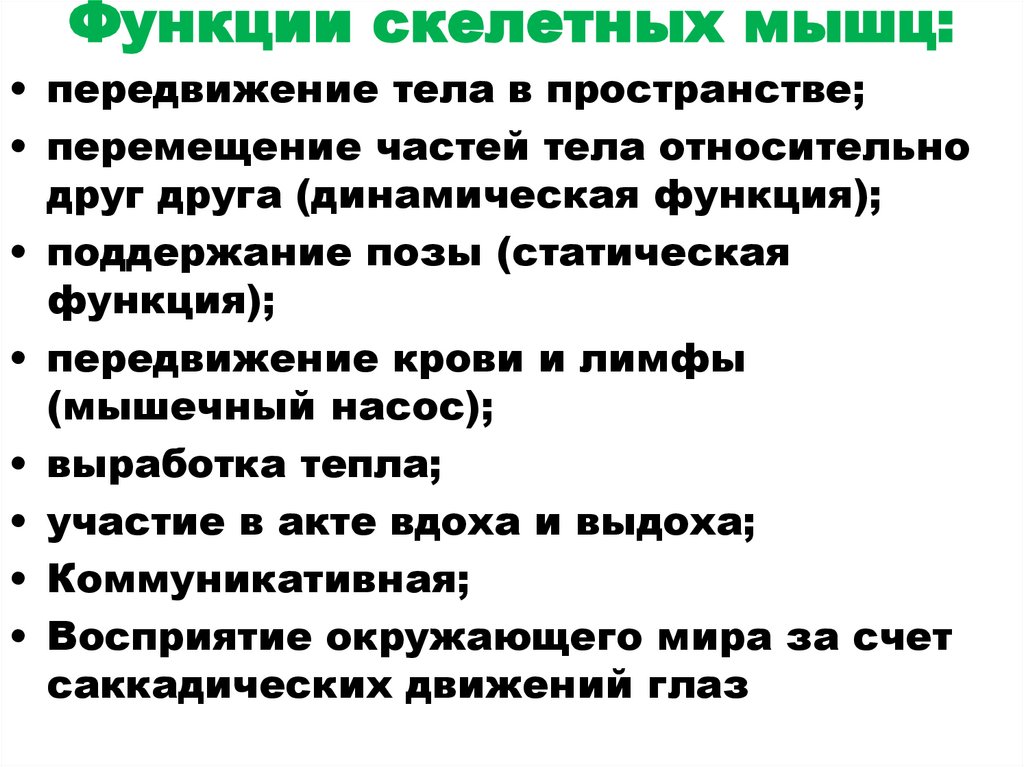 Функции скелетных мышц: