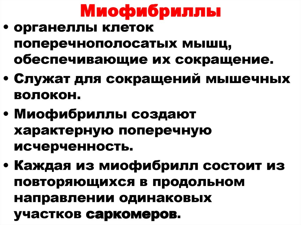 Миофибриллы