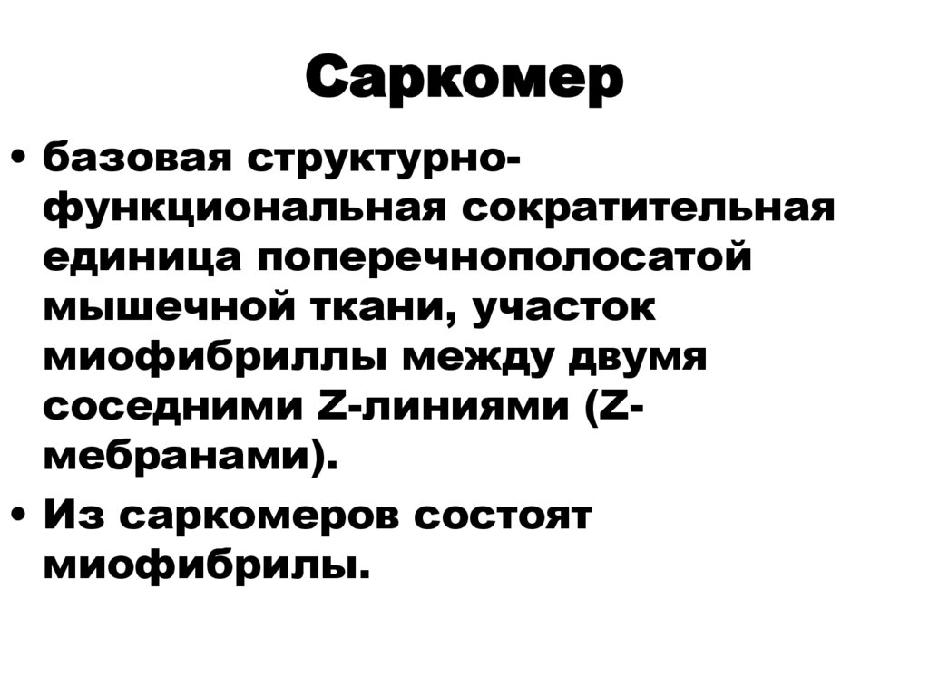 Саркомер