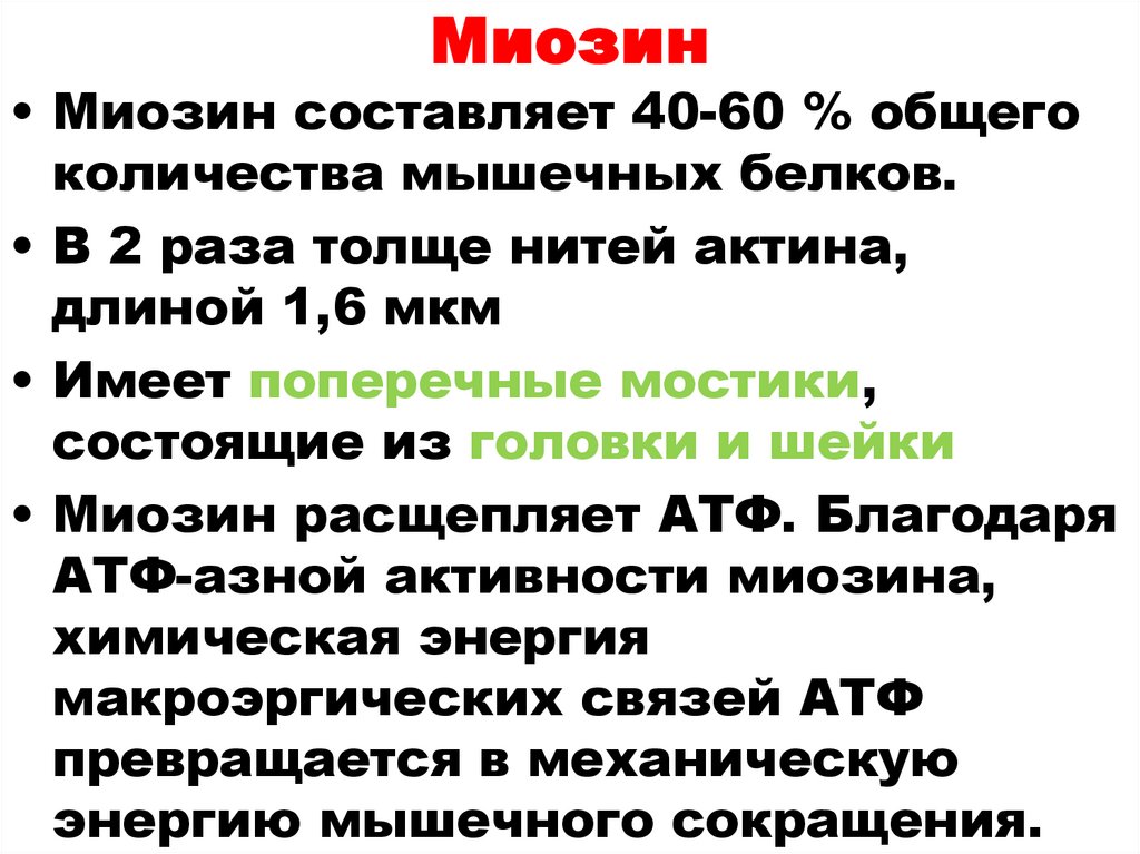 Миозин
