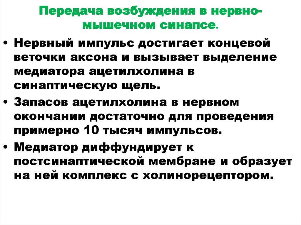 Передача возбуждения в нервно-мышечном синапсе.