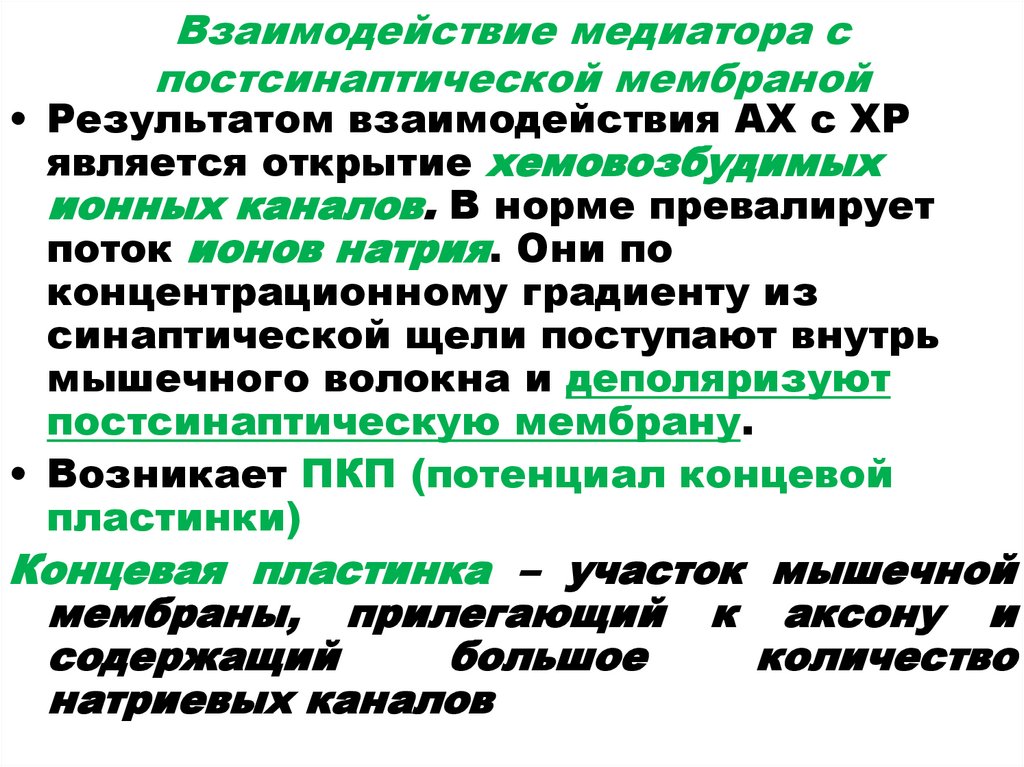 Взаимодействие медиатора с постсинаптической мембраной