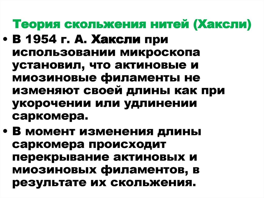 Теория скольжения нитей (Хаксли)