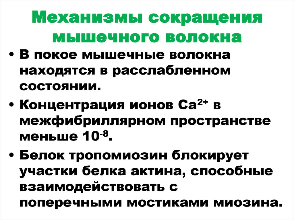 Механизмы сокращения мышечного волокна