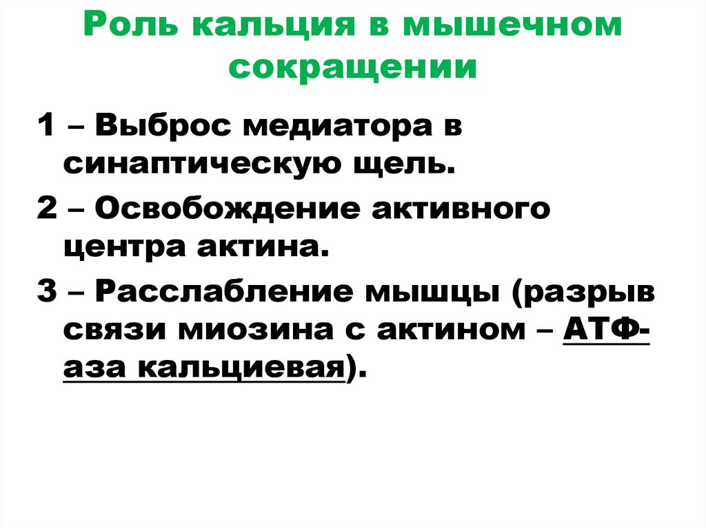 Роль кальция в мышечном сокращении