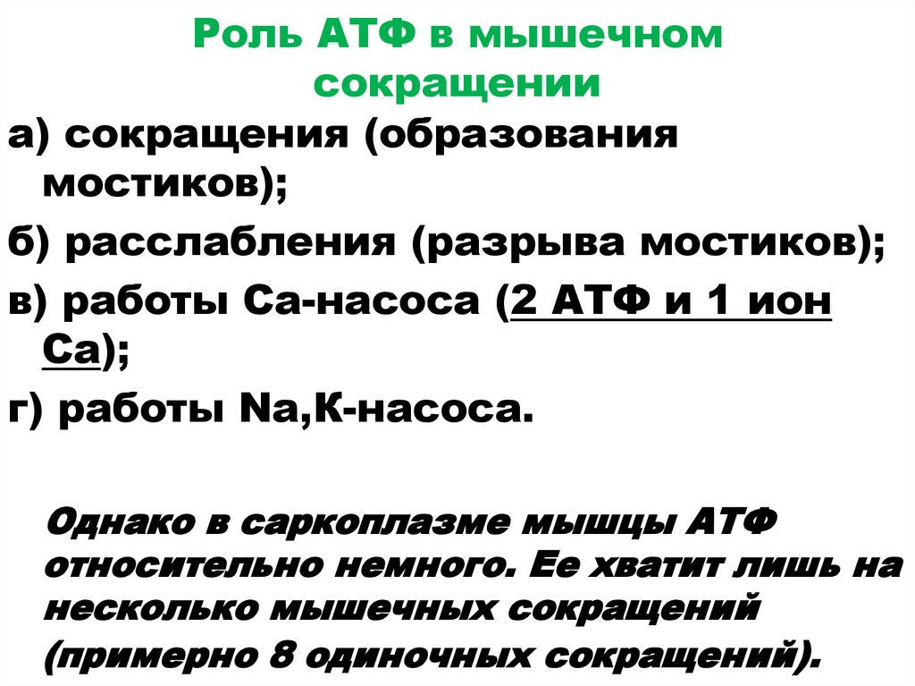 Роль АТФ в мышечном сокращении