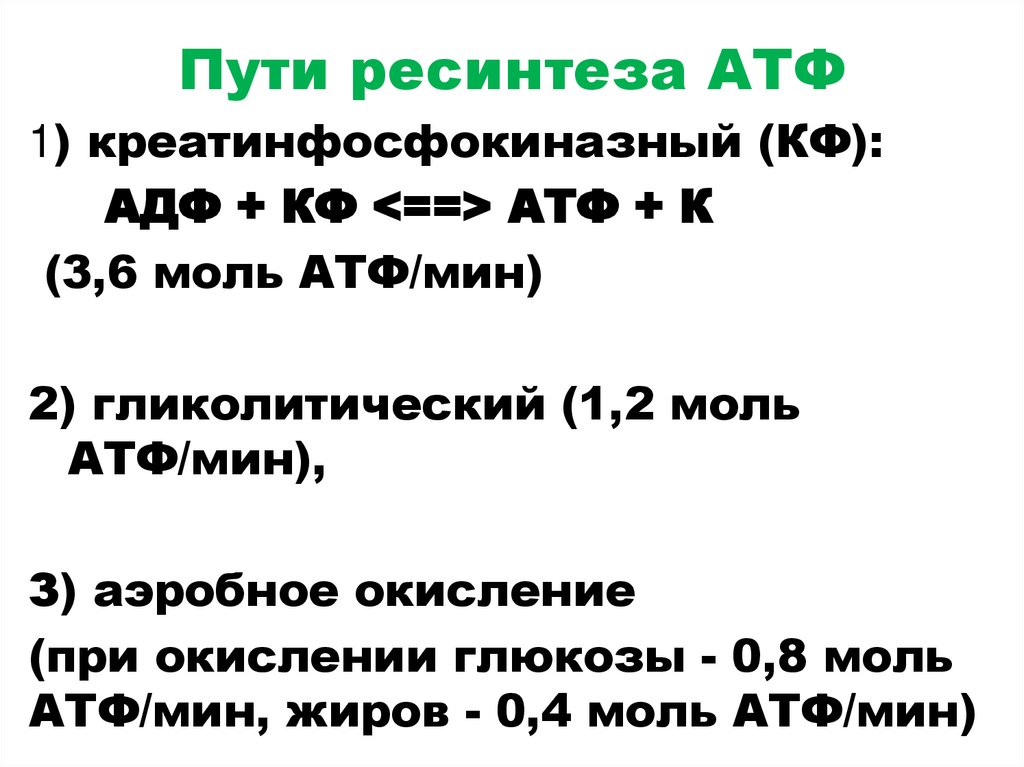 Пути ресинтеза АТФ