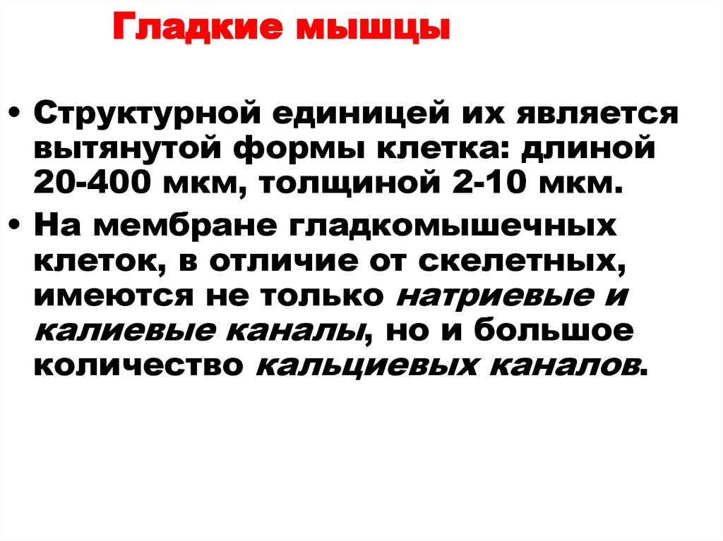 Гладкие мышцы