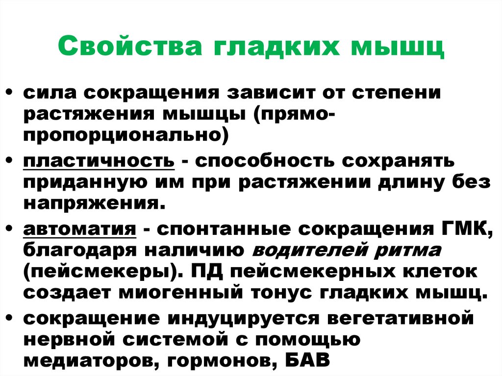 Свойства гладких мышц