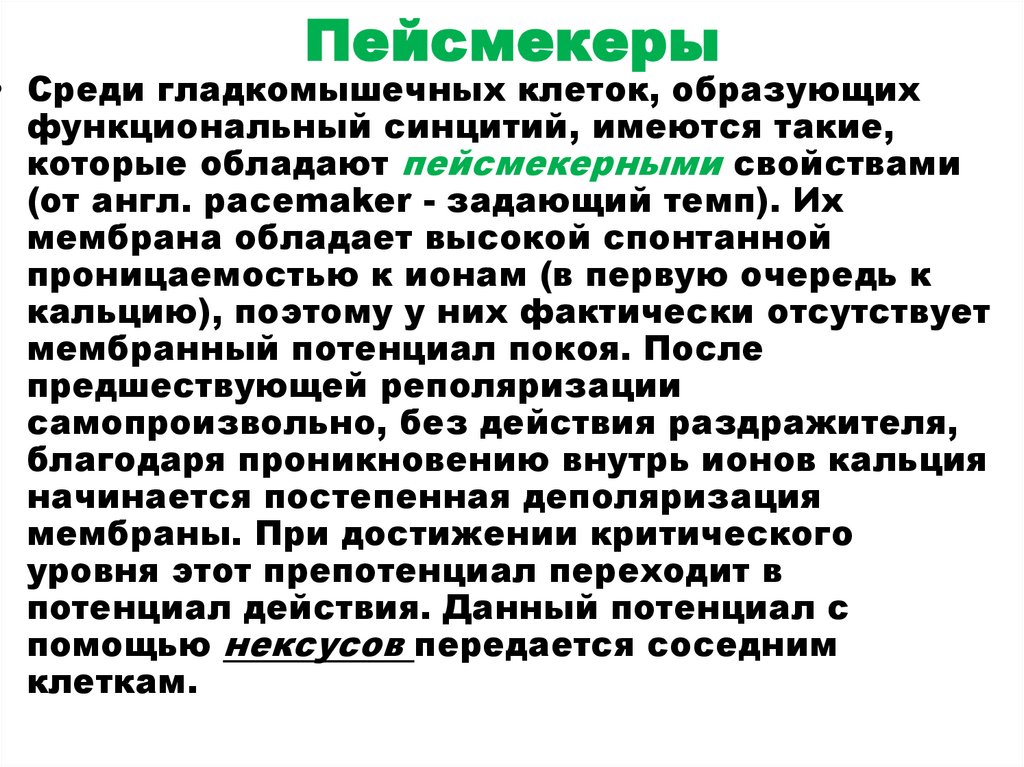 Пейсмекеры