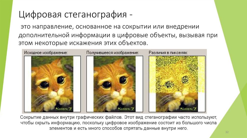 Цифровая стеганография -  это направление, основанное на сокрытии или внедрении дополнительной информации в цифровые объекты,