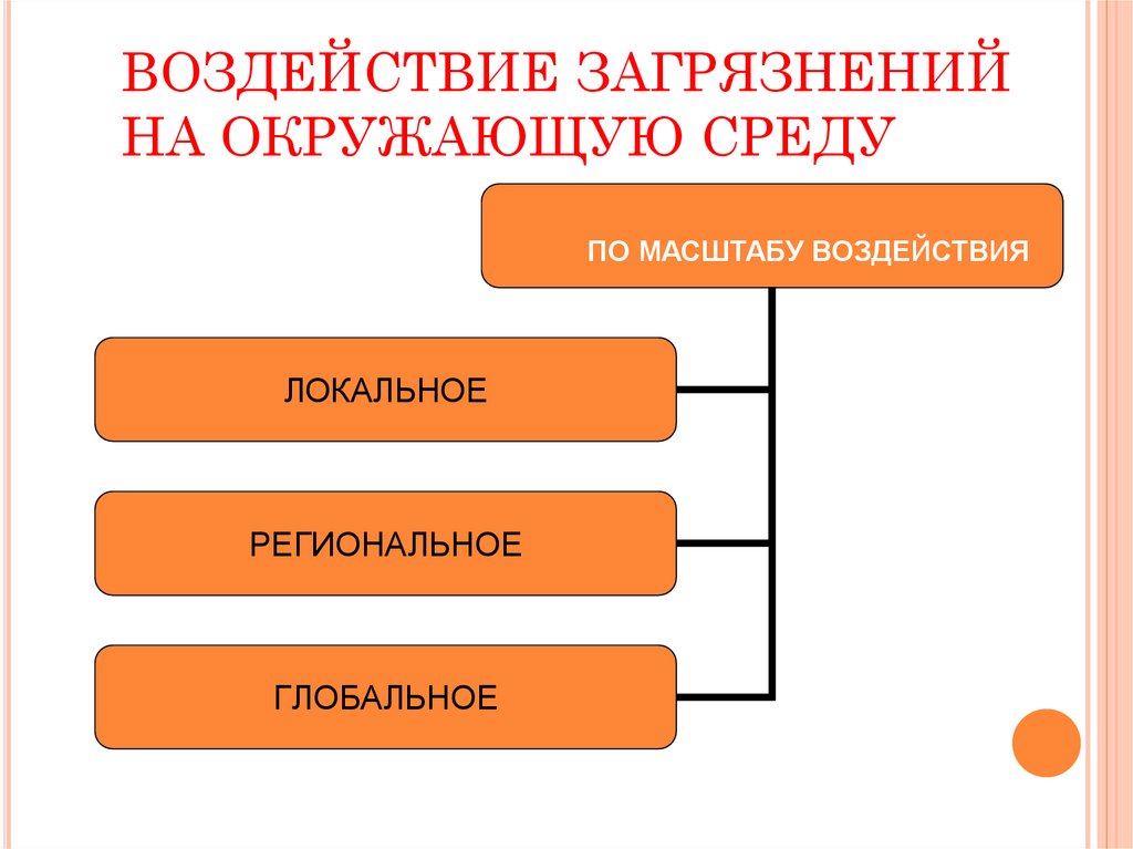 ВОЗДЕЙСТВИЕ ЗАГРЯЗНЕНИЙ НА ОКРУЖАЮЩУЮ СРЕДУ