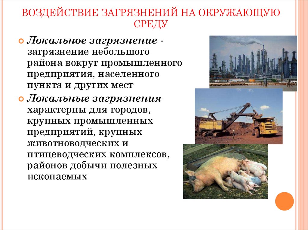 ВОЗДЕЙСТВИЕ ЗАГРЯЗНЕНИЙ НА ОКРУЖАЮЩУЮ СРЕДУ