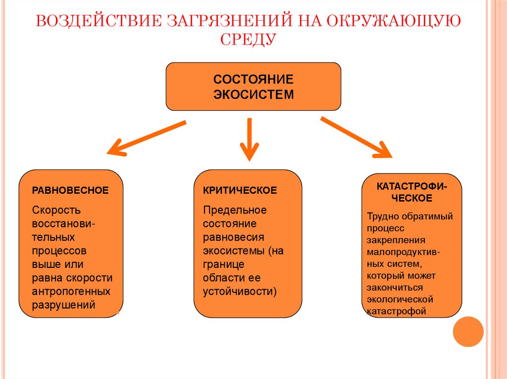 ВОЗДЕЙСТВИЕ ЗАГРЯЗНЕНИЙ НА ОКРУЖАЮЩУЮ СРЕДУ