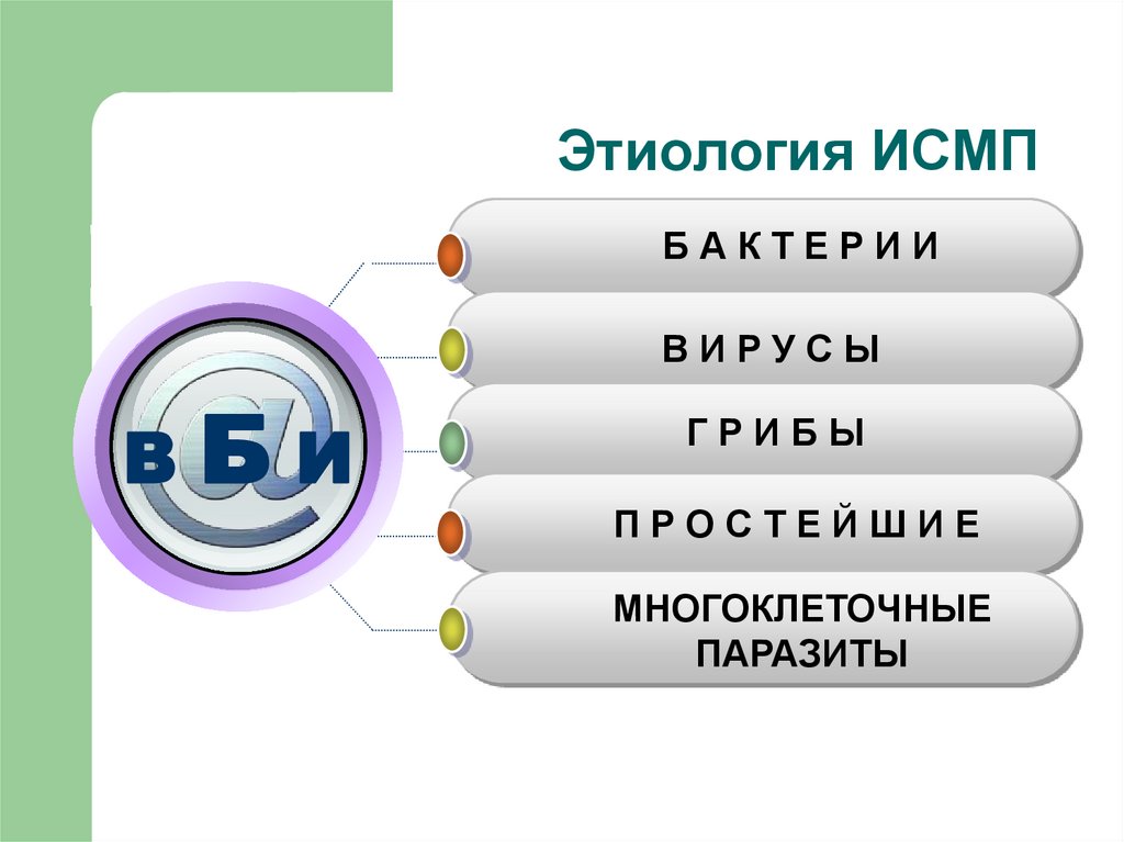 Этиология ИСМП