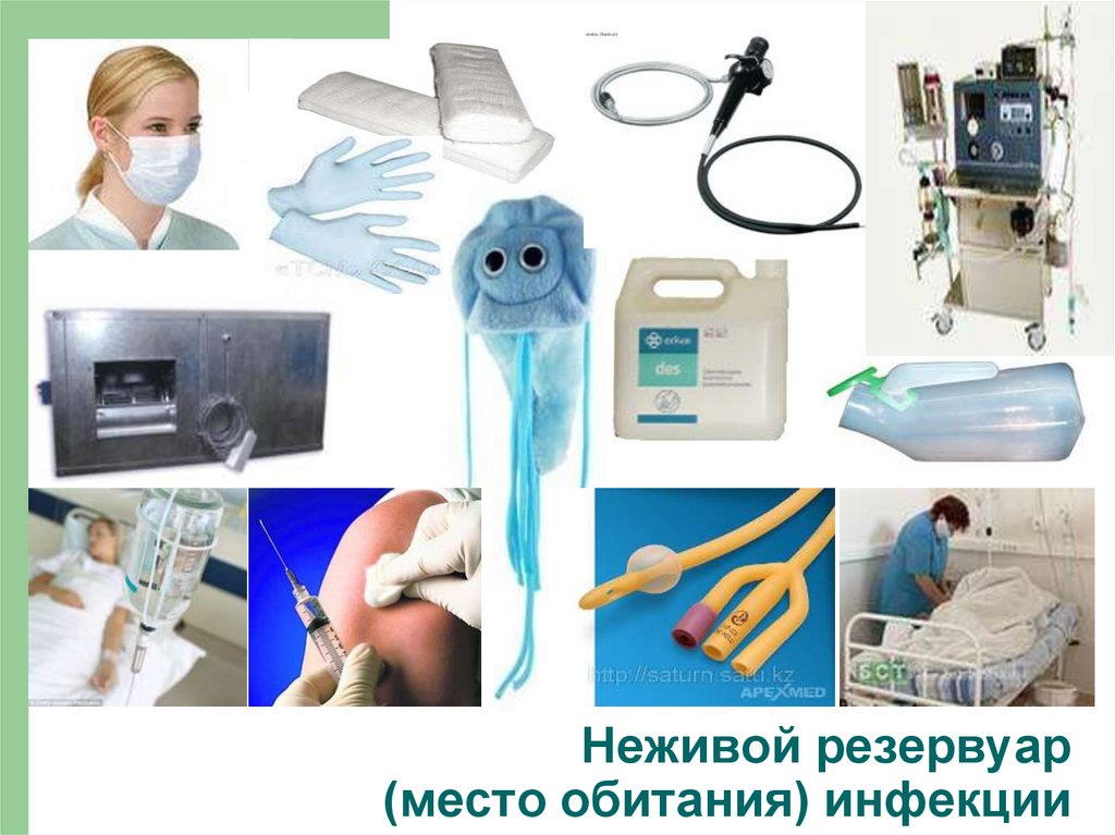 Неживой резервуар (место обитания) инфекции