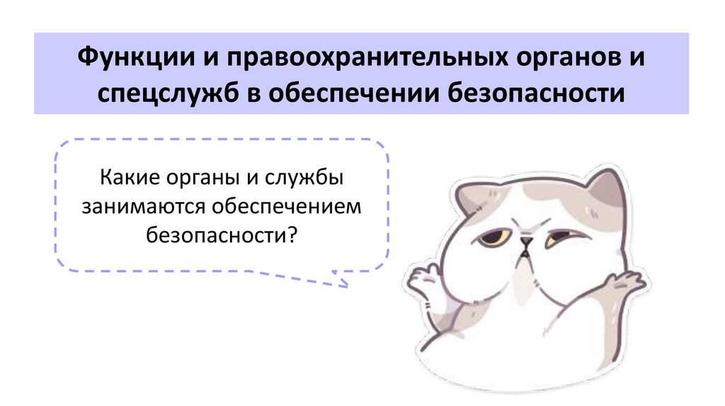 Функции и правоохранительных органов и спецслужб в обеспечении безопасности