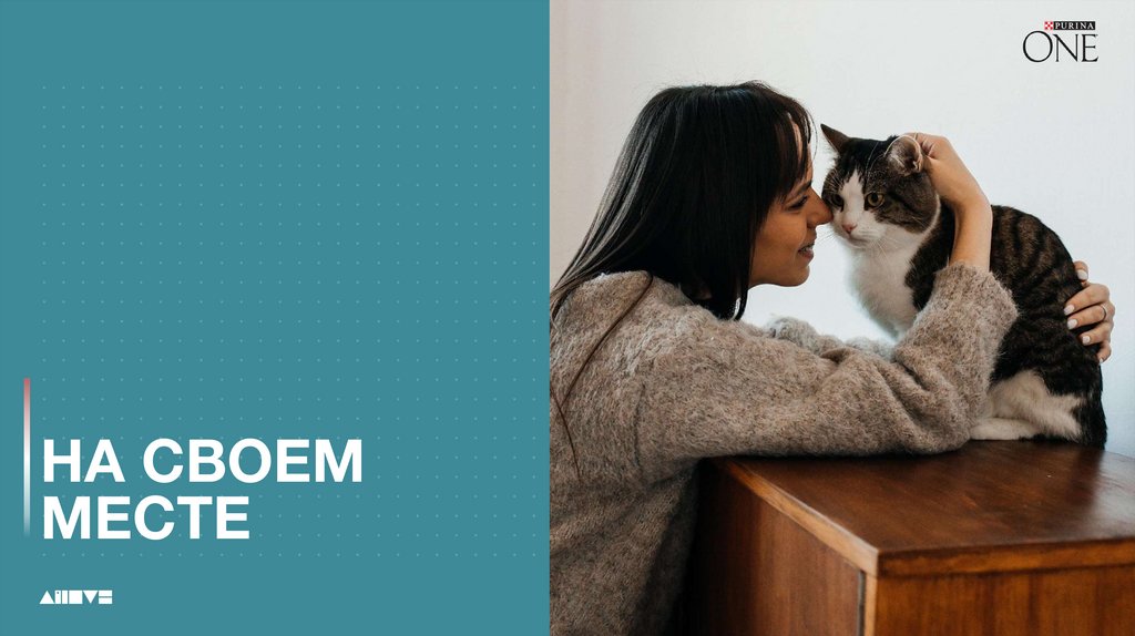 НА СВОЕМ МЕСТЕ