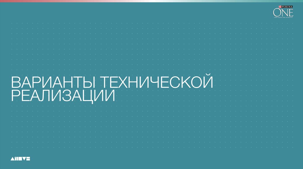 ВАРИАНТЫ ТЕХНИЧЕСКОЙ РЕАЛИЗАЦИИ