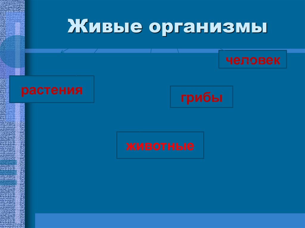 Живые организмы