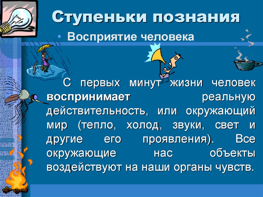 Ступеньки познания