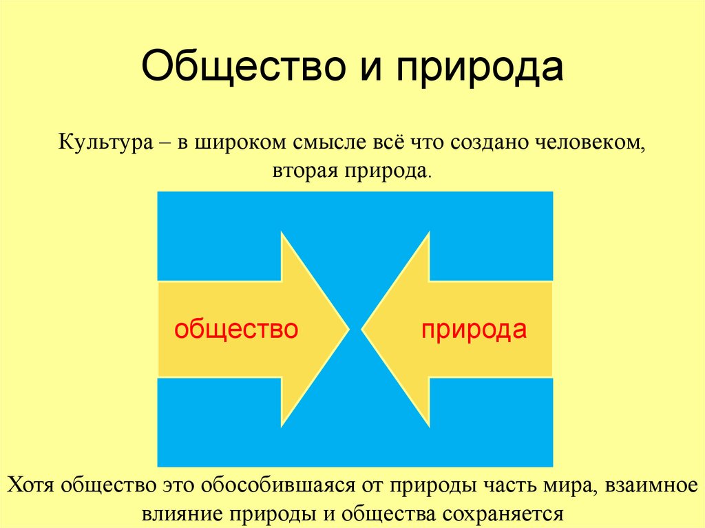 Общество и природа