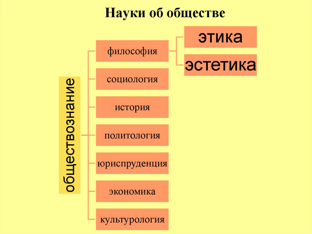 Науки об обществе