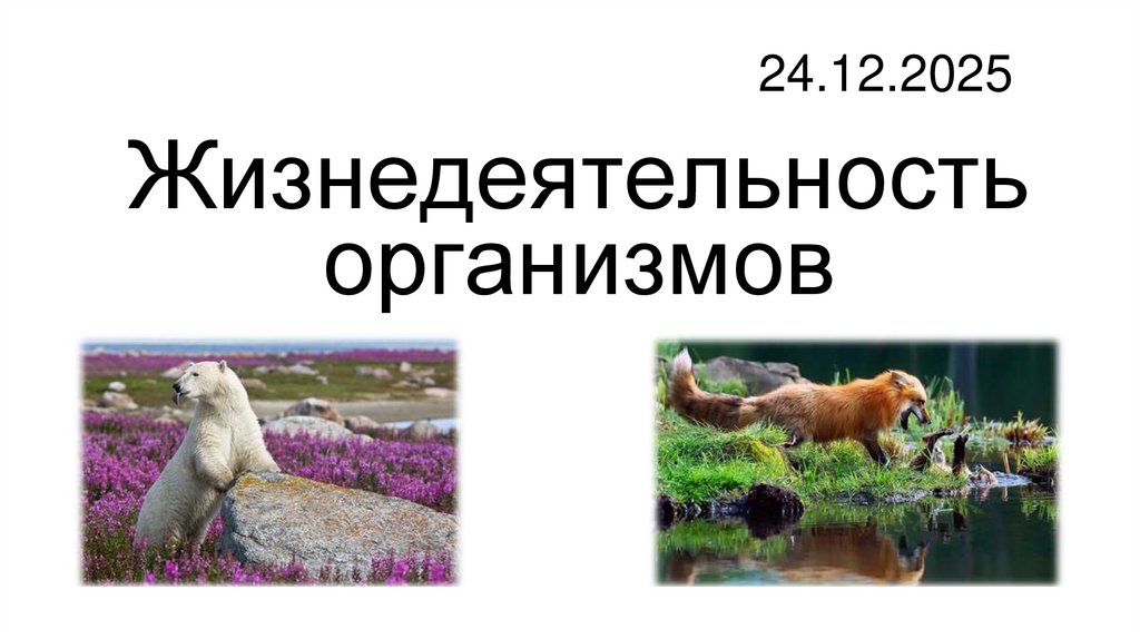 Жизнедеятельность организмов