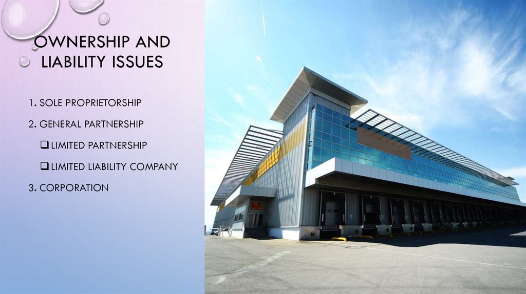 OWNERSHIP AND LIABILITY ISSUES