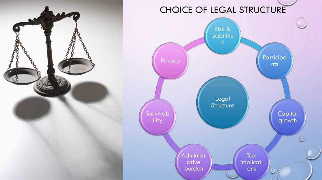 CHOICE OF LEGAL STRUCTURE