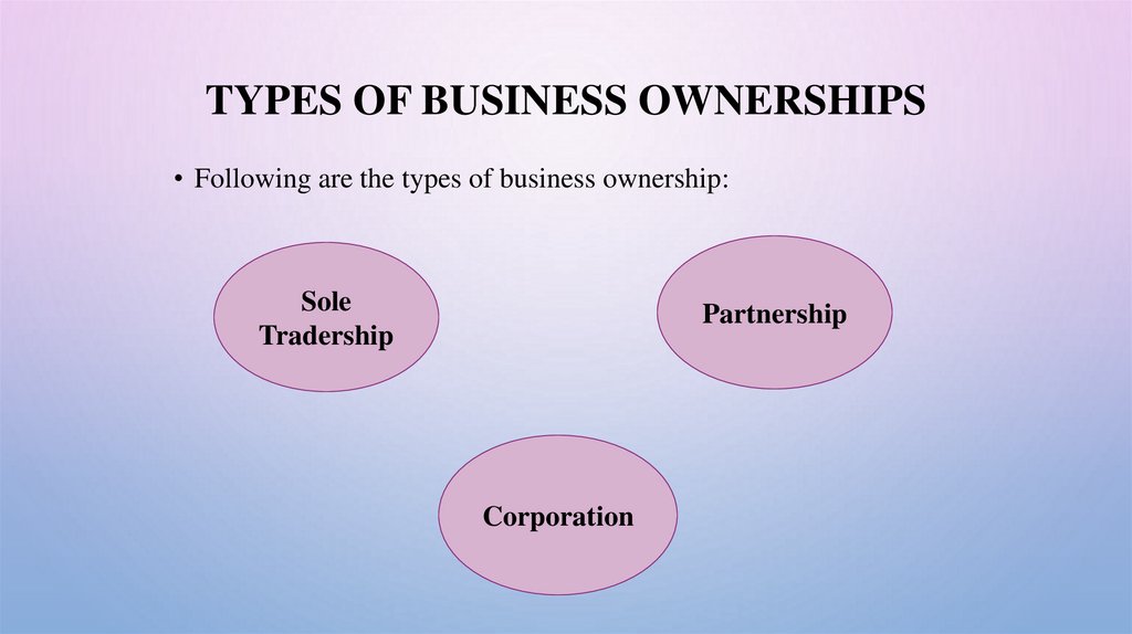 Types of Business Ownerships