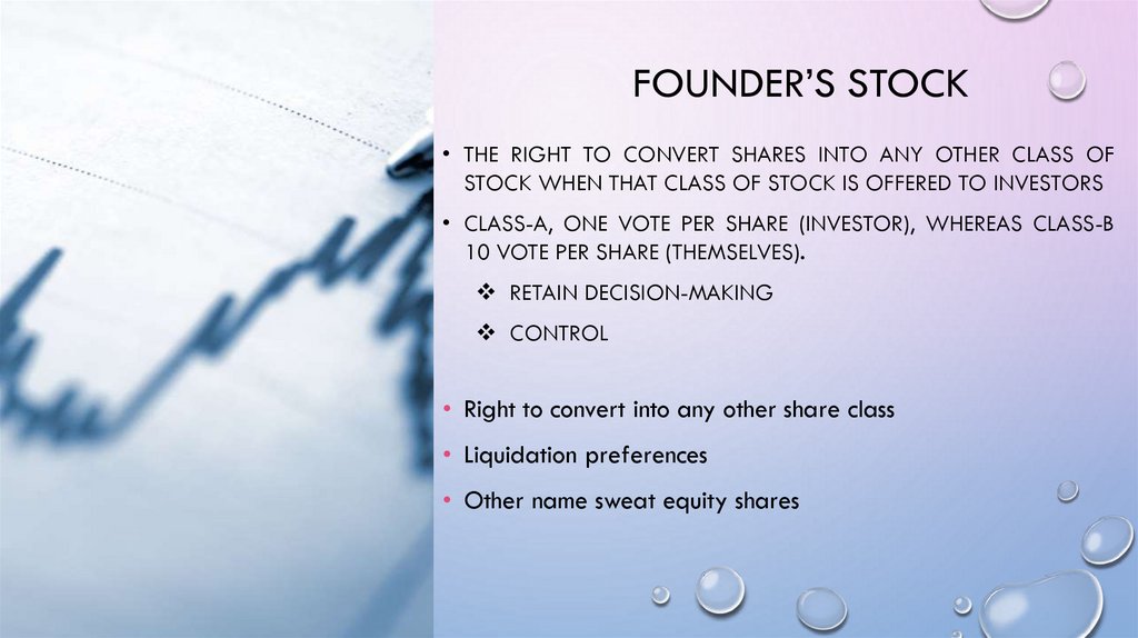 Founder’s Stock