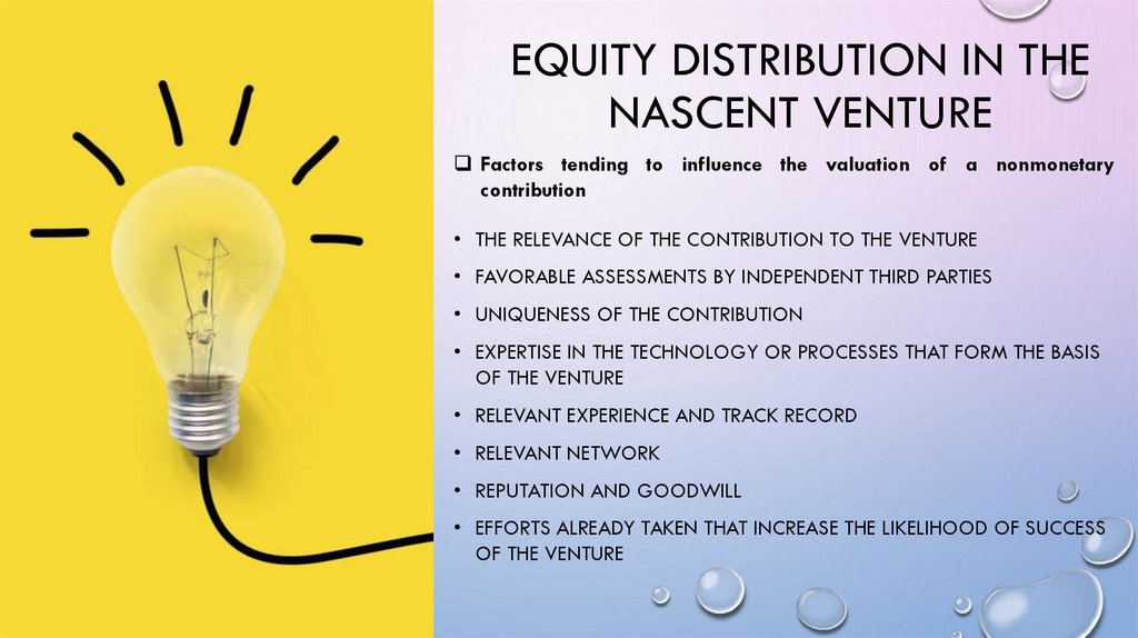 EQUITY DISTRIBUTION IN THE NASCENT VENTURE
