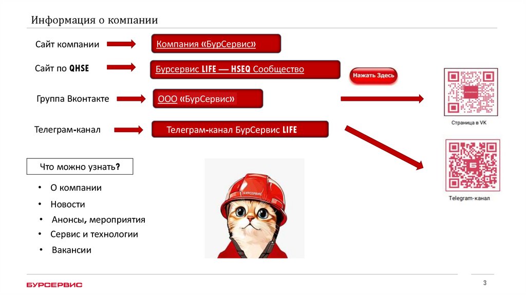 Информация о компании