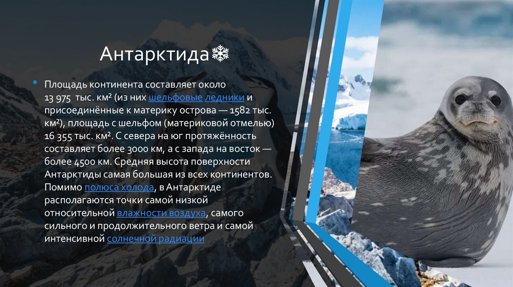 Антарктида